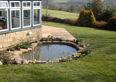 pond1 (1)