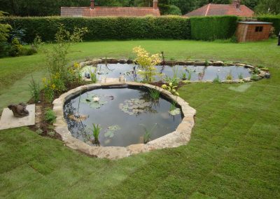 pond1 (2)