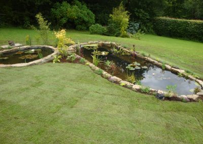 pond1 (3)