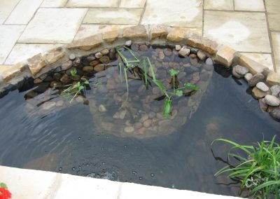 pond1 (6)