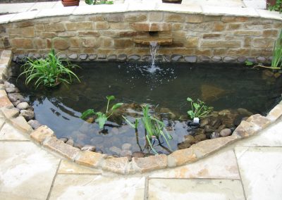 pond1 (8)